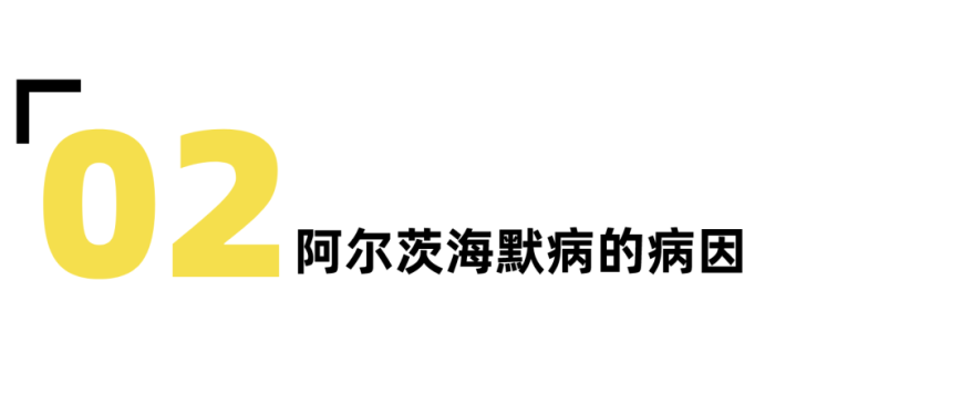 阿尔茨海默症:遗忘的不是记忆,而是爱-要炼 阿尔茨海默症:遗忘的不是记忆,而是爱-要炼