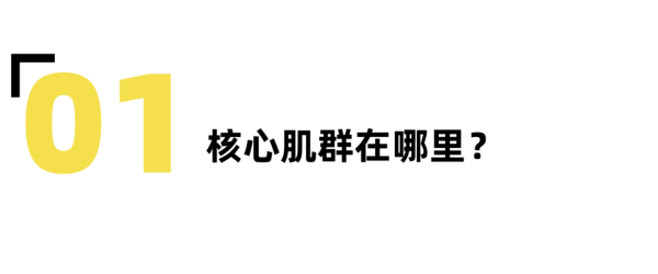 教练说的核心力量,你知道怎么练吗?-要炼 教练说的核心力量,你知道怎么练吗?-要炼