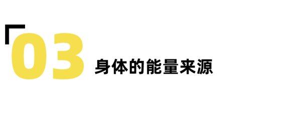 教练说的核心力量,你知道怎么练吗?-要炼 教练说的核心力量,你知道怎么练吗?-要炼