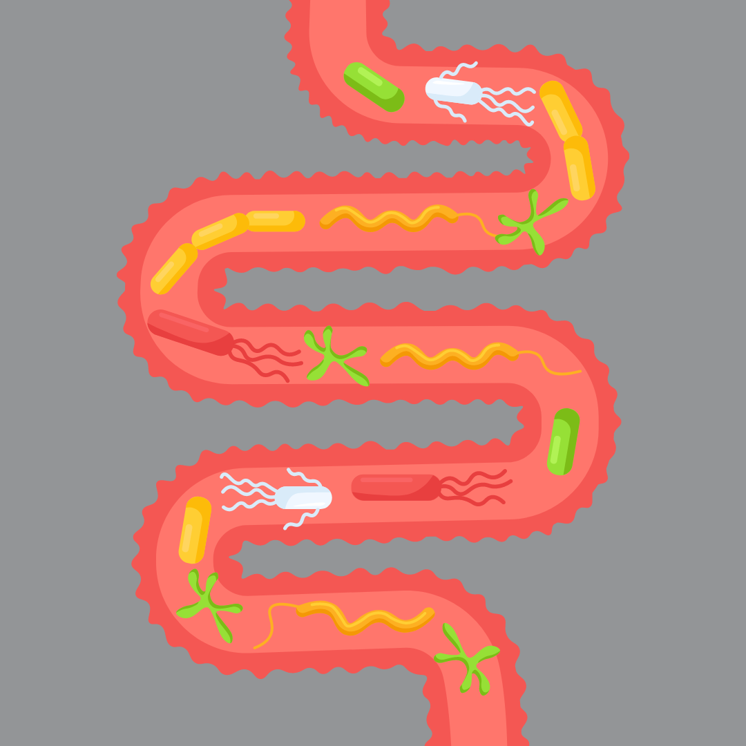 健身走的五大优势,老幼皆宜,快速燃脂降三高!-要炼 健身走的五大优势,老幼皆宜,快速燃脂降三高!-要炼