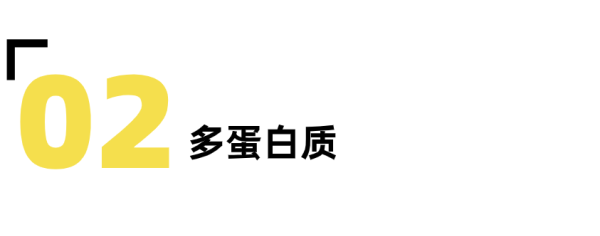 8项引爆肥肉的饮食战略，你一定要学会！-要炼